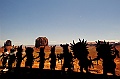 Monument Valley-Viaggi-9